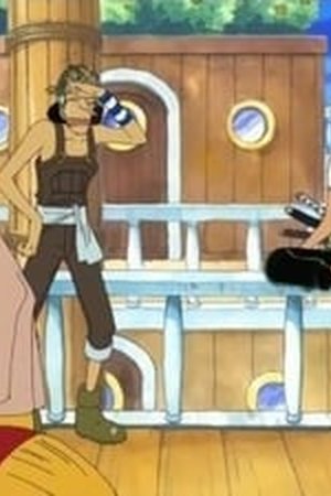 One Piece Season 5 Episode 141 - Poster