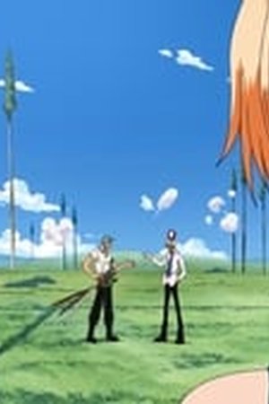 One Piece Season 7 Episode 211 - Poster