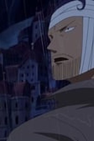 One Piece Season 9 Episode 312 - Poster