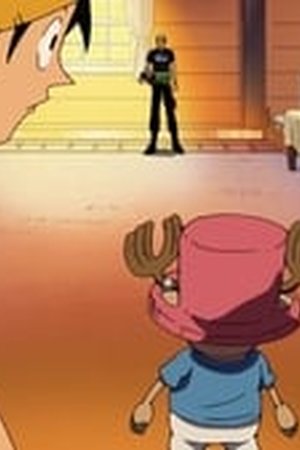One Piece Season 9 Episode 323 - Poster