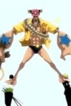 One Piece Season 10 Episode 367 - Poster