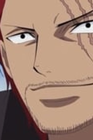 One Piece Season 13 Episode 489 - Poster
