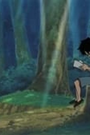 One Piece Season 13 Episode 503 - Poster