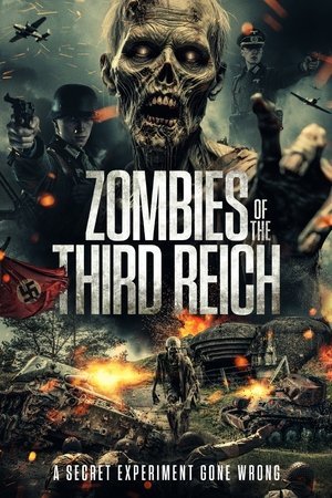 Zombies of the Third Reich (2025) - Poster