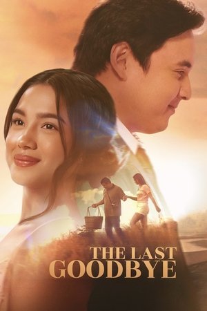 The Last Goodbye ( 2025 ) - Poster