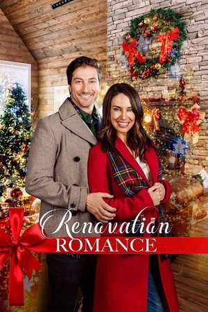 Renovation Romance (2024) - Poster